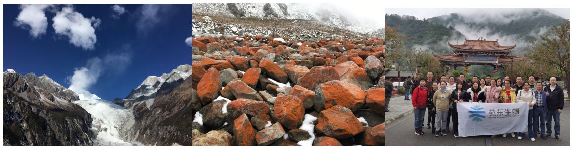 1602726052282940.jpg 4.JPG