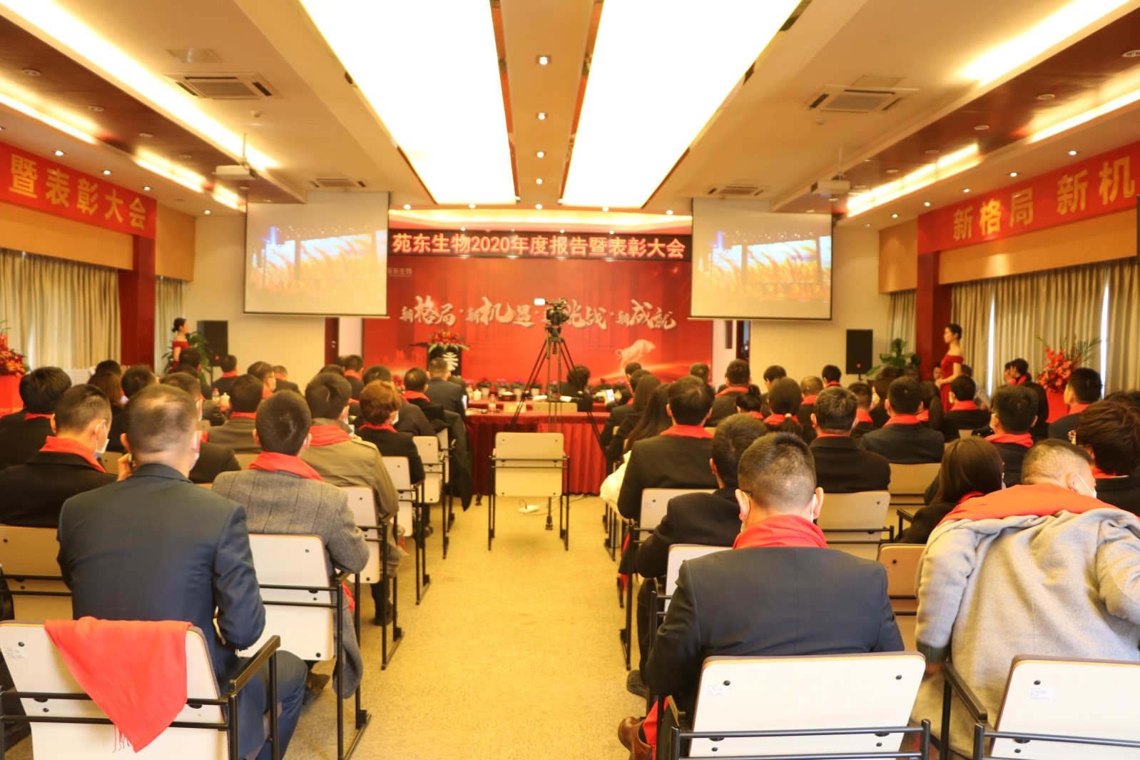 1612671292699849.jpg 2.jpg